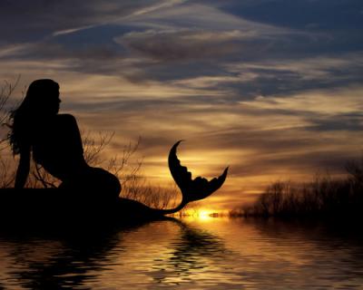 20080824030057-mermaidsunset-print.jpg
